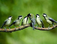 Milwaukee Audubon Society's 30th annual Natural Landscapes Conference