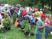 Sixth Annual  Bay View Plant Sale