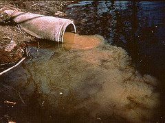 Storm Sewers Oozing Human Bacteria