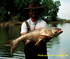 Carp Suit Heading to Court