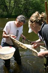 Water Quality Monitor Training