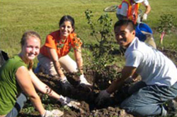 Community Planting